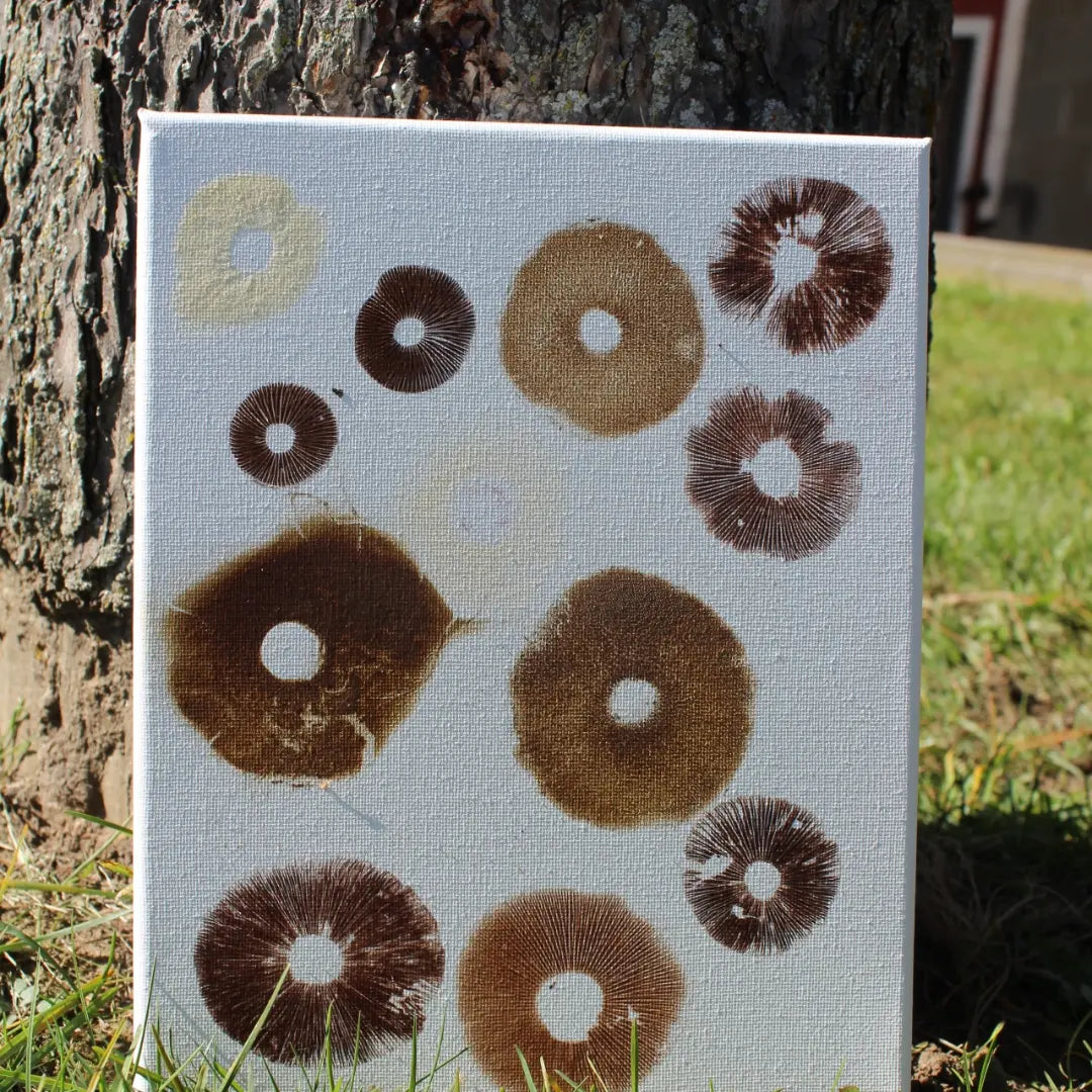 Spore Print Paintings