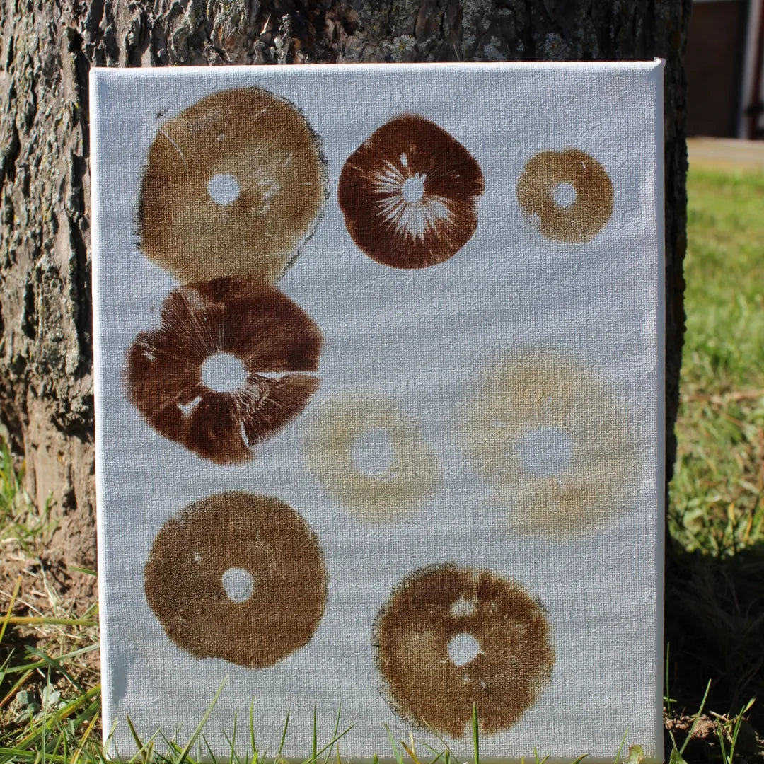 Spore Print Paintings