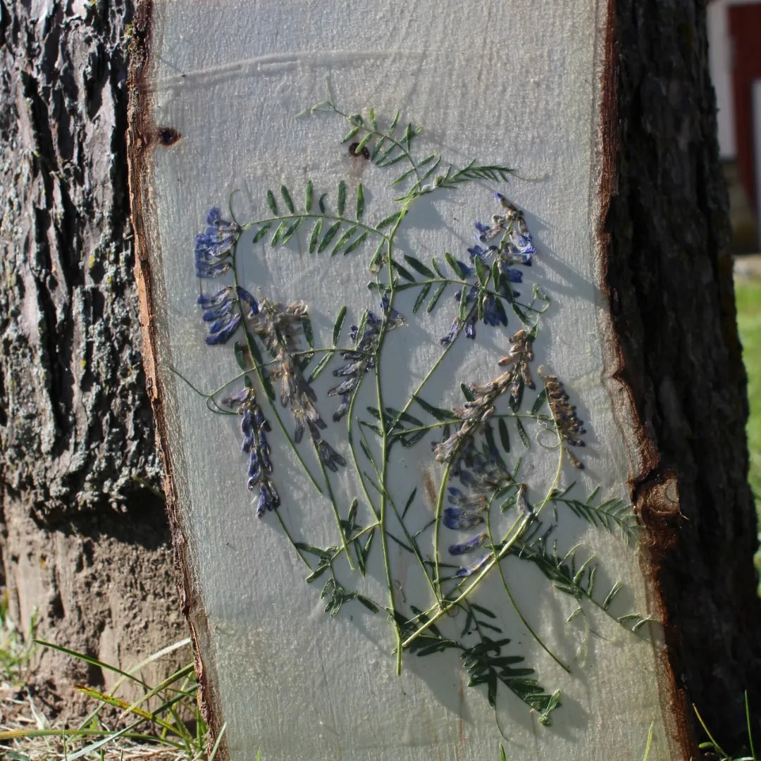 Pressed Flower Painting